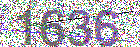 Graphic Verification Code